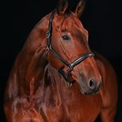 Foto von Judith Bastanoglu