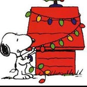Rick Miller's photo