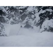 Theodore Hutz's photo