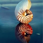 Tina Baldonado's photo