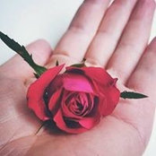 Derya Acar's photo