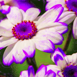 Fine Art Photography - Digital paintings - Home Accessories & Decor