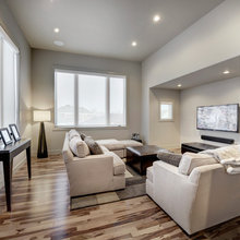 Living Room Ideas