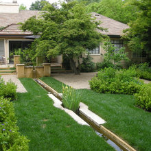 Front Garden 2014