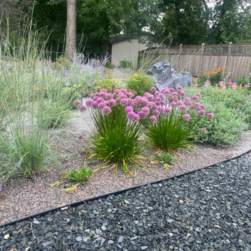 Suburban Backyard Sustainable Gardens