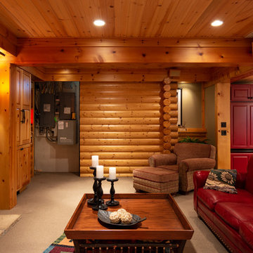 Modern Log Cabin Basement Remodel in Ann Arbor, Michigan