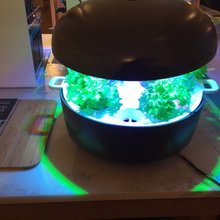 Smart Home