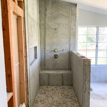 Master Bathroom and Home Remodel