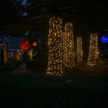 Holiday Light in Woodinville