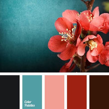 Palette
