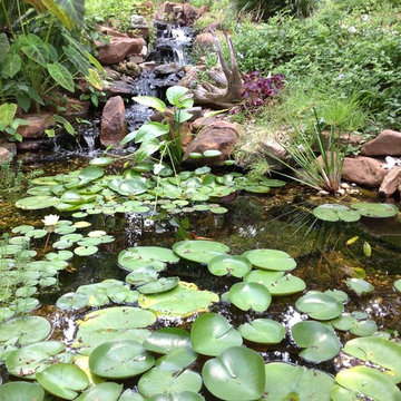 Doss Pond