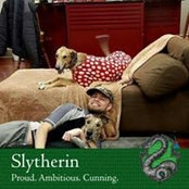 Lynn Leffew's photo