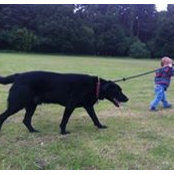 Mark Bevan's photo