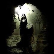 Frankie Tyack's photo