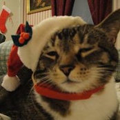Darla Simcox Decker's photo