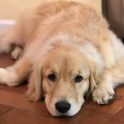 Emily Budlong's photo