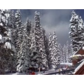 Michael Polocek's photo