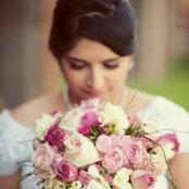 Amanda Nikolic's photo