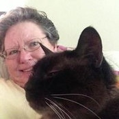 Jayne Jarvis's photo