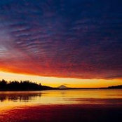 John Casey's photo