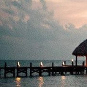 Kacy Cole's photo