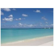 Pamela Willett's photo