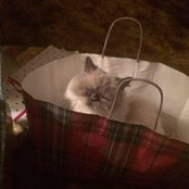 Mary Gimenez's photo