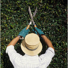 Tall Timber Tree Experts LLC