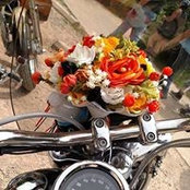 Bunii Thomas's photo