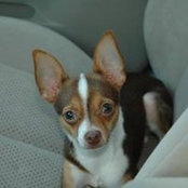 Patty Gaughf's photo