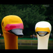 Edward Stevenson's photo