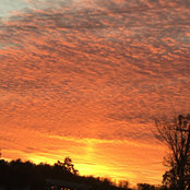 Michelle Bonnayer's photo