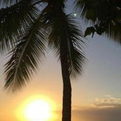 Audra Severini's photo