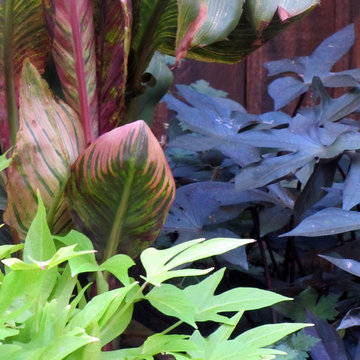 Pleasant Hill Courtyard Garden