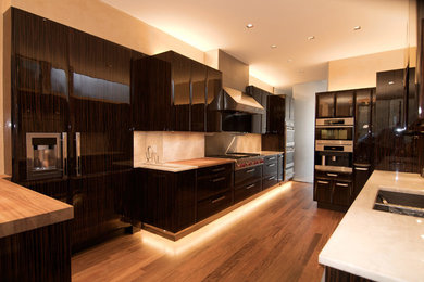 Kitchen - contemporary kitchen idea in Chicago