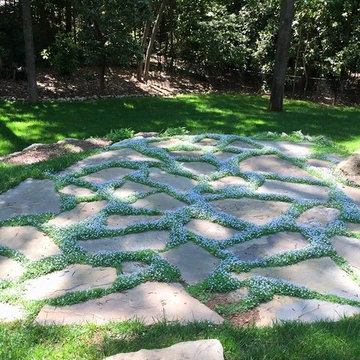 Front & Backyard Design and Installation.