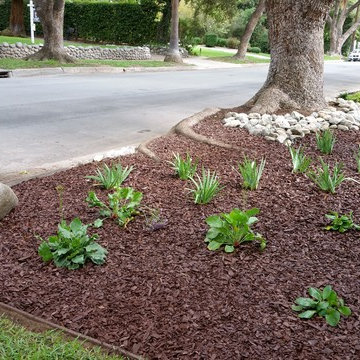 Graceful Drought Tolerant Parkway