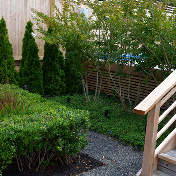 Fire Island Garden