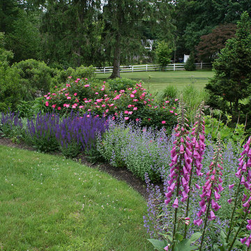 Perennial Garden, Westport, CT