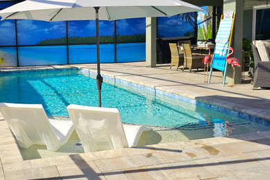 Medium sized contemporary swimming pool in Orlando.