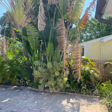Before landscape demo