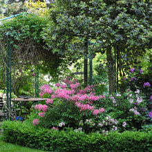 Outdoor Flowers
