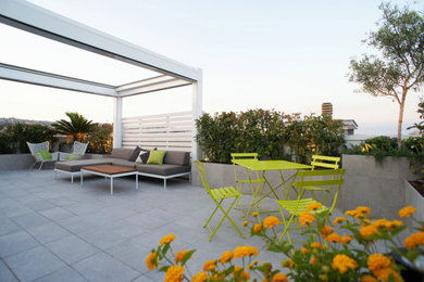 Esempio di una privacy sulla terrazza minimal di medie dimensioni, sul tetto e sul tetto con una pergola