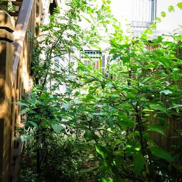 Urban Gardeners Garden