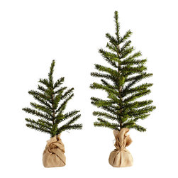 SMALL FIR TREES - NEW - Christmas Trees