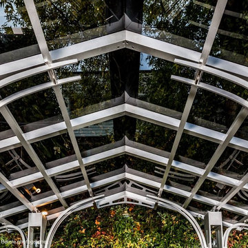All glass & Aluminum Pergola w/Backlit LED Lighting
