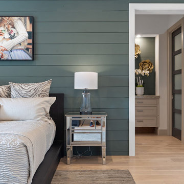 Dripping Springs remodel