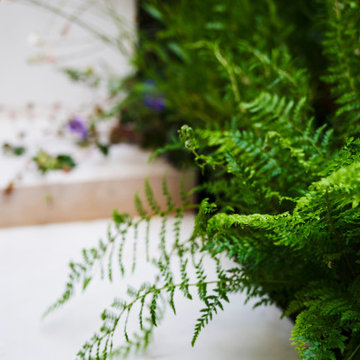 North London Contemporary Courtyard Garden