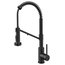 Bolden Commercial Pull-Down 1-Handle Kitchen Filter Faucet, 3-Function, MB