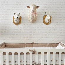Izzys room